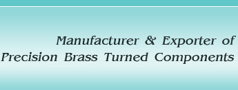 Precision Brass Turned Parts